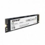 PT SSD 1TB M2 NVME P300P1TBM28