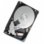 TS HDD 3.5 1TB SATA P300