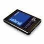PT SSD 960GB SATA PBU960GS25SSDR