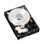 WD HDD3.5 1TB SATA WD1003FZEX