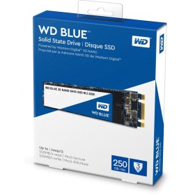 SSD WD Blue 3D NAND 250GB SATA-III M.2 2280 - SriHome.ro