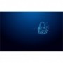 Memorie USB Kingston IronKey 128GB