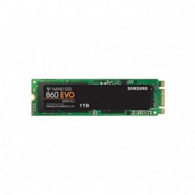 SM SSD 1TB 860EVO M.2 2280 MZ-N6E1T0BW