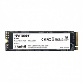 PT SSD 256GB M2 2280 P300P256GM28