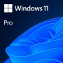 Windows 11 Professional 64Bit English Intl 1pk DSP OEI DVD - SriHom...
