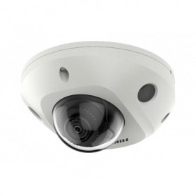 CAMERA DS-2CD2543G2-IWS 2.8MM