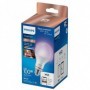 Bec LED inteligent Philips   100W A67 E2