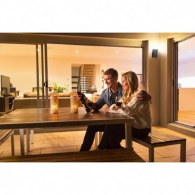 SMART OUTD WIFI CURVE WALL RGBW DG LEDV