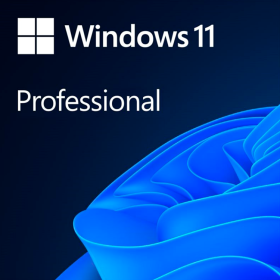 Microsoft Windows Professional 11 64-bit All Languages Online Produ...