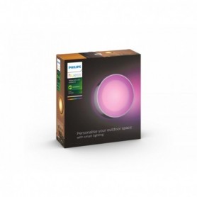 DAYLO HUE WACA WALL LANTERN INOX 1X15W