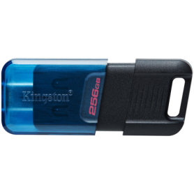 KINGSTON 256GB USB 3.2 Gen 1 DataTraveler 80 M, Type-C