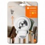 80191 SPYLUX WT BLI1 LEDV