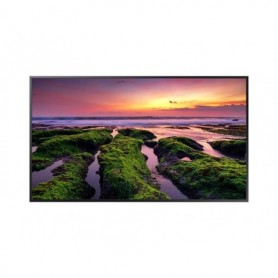 Ecran profesional Samsung QM43B