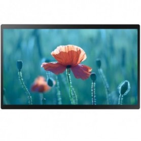 Ecran profesional Samsung QB24R