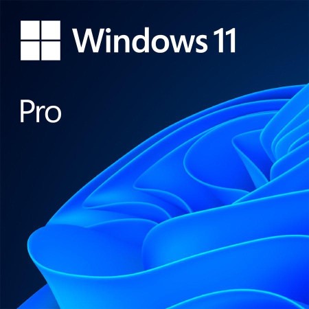 Licenta OEM Microsoft Windows 11 Pro 64 bit Romanian - SriHome.ro